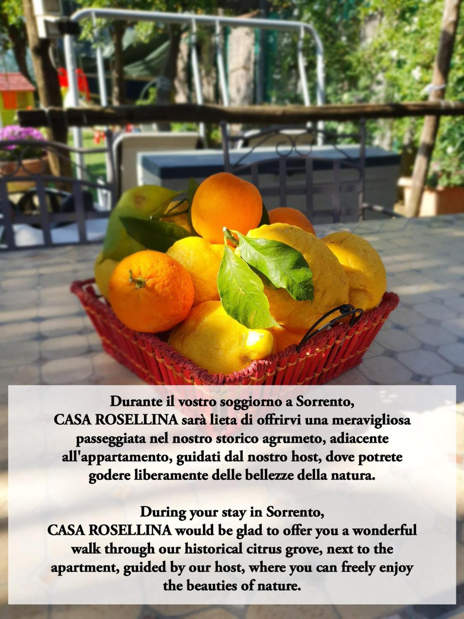 Casa Rosellina Sorrento别墅 外观 照片