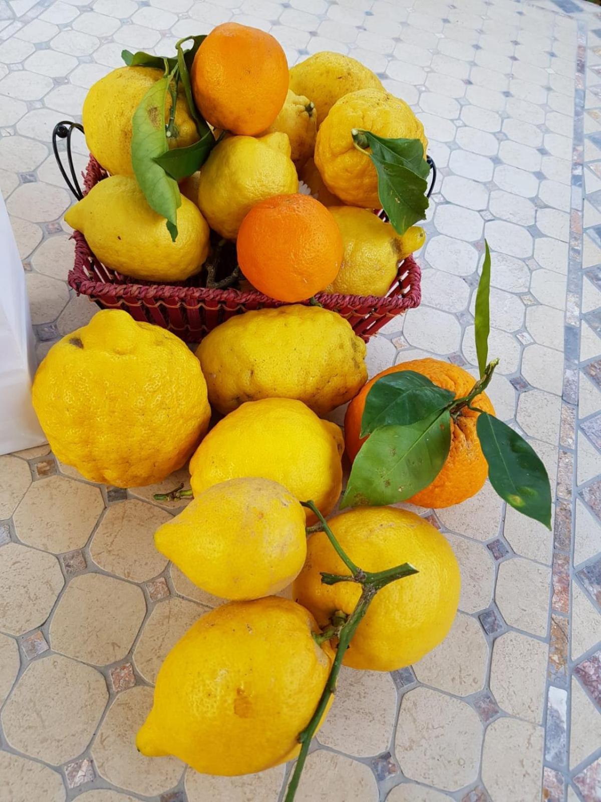 Casa Rosellina Sorrento别墅 外观 照片
